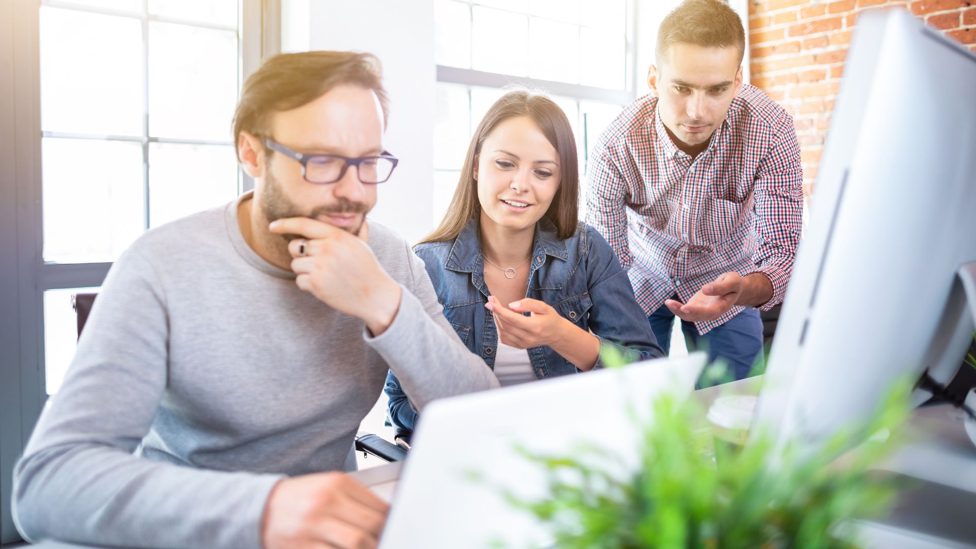 WordPress Developer Team